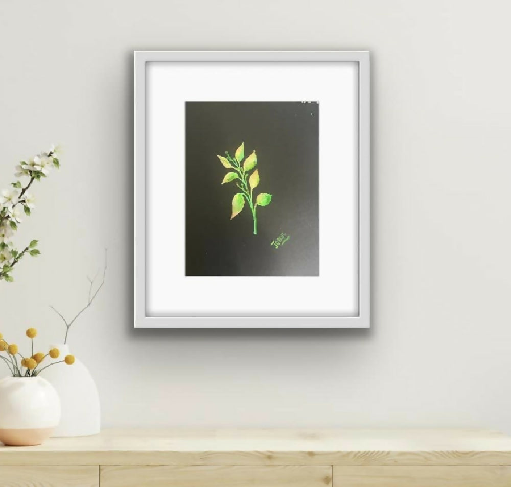 Botanical watercolor set of two , watercolours on black card , framed ready to hang