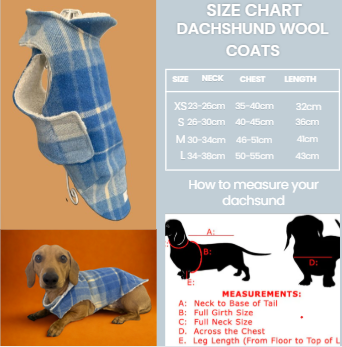 Upcycled woolen dachshund dog, puppy warm coats/jackets