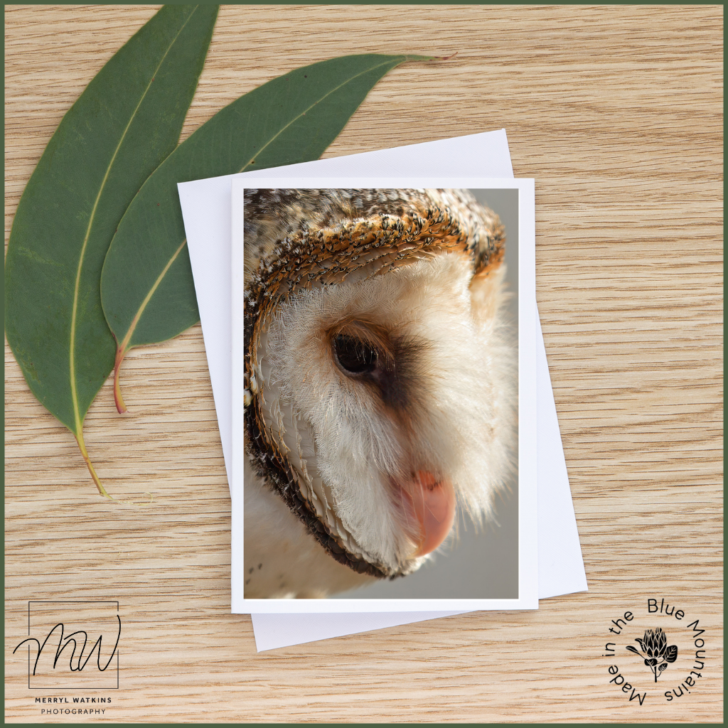Blank Greeting Card - Barn Owl Close-up Photo