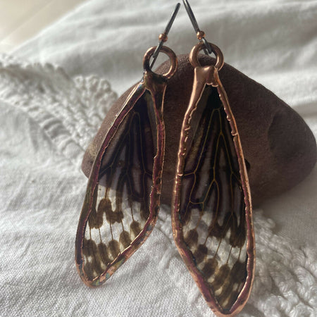 Cicada Wing Earrings in Resin on Hypoallergenic Niobium Wires