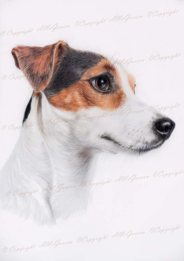 Dog | Jack Russell | Fine Art Print " Puppy Dog Eyes" | Wall Art