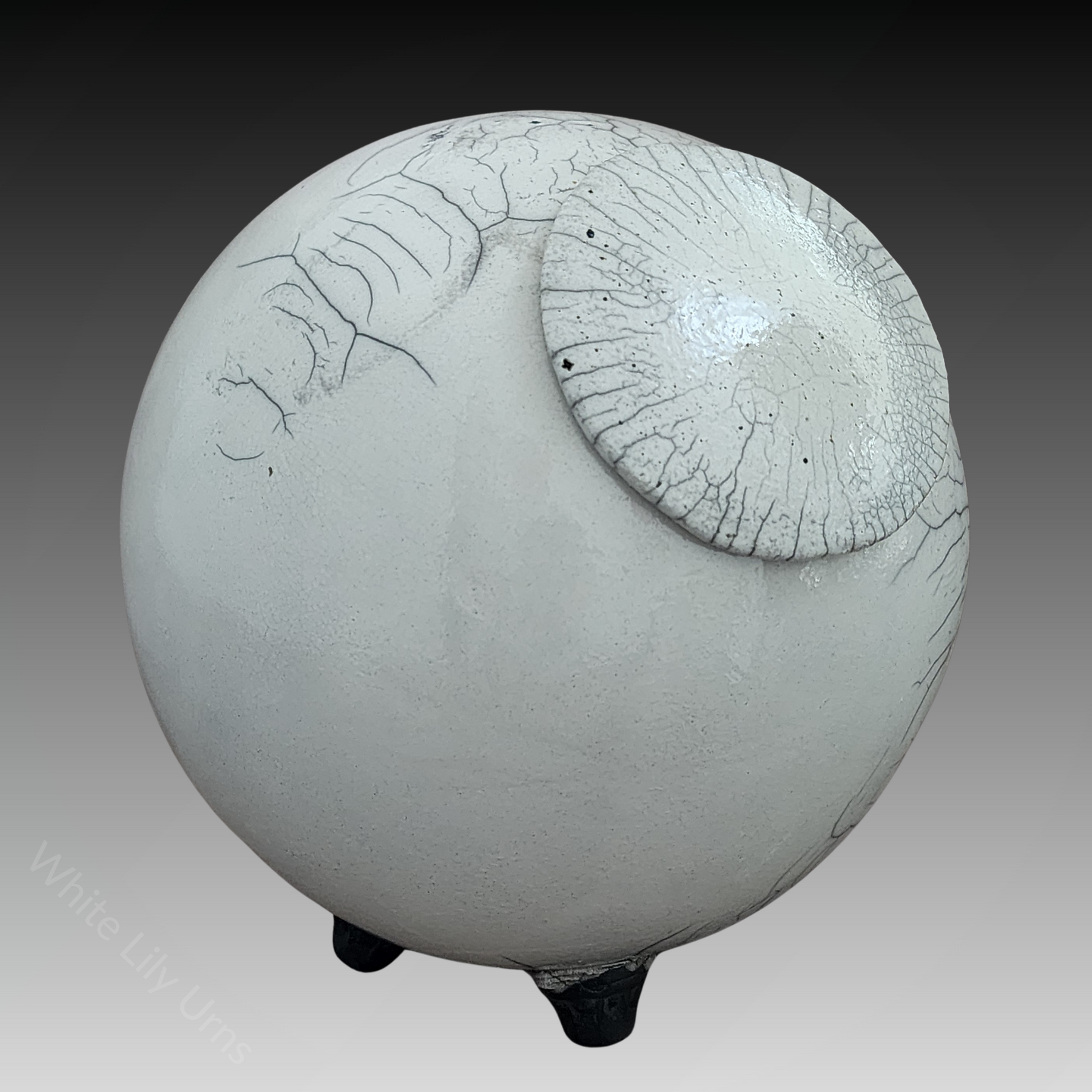 Dragon Moon Raku Fired Pottery Urn