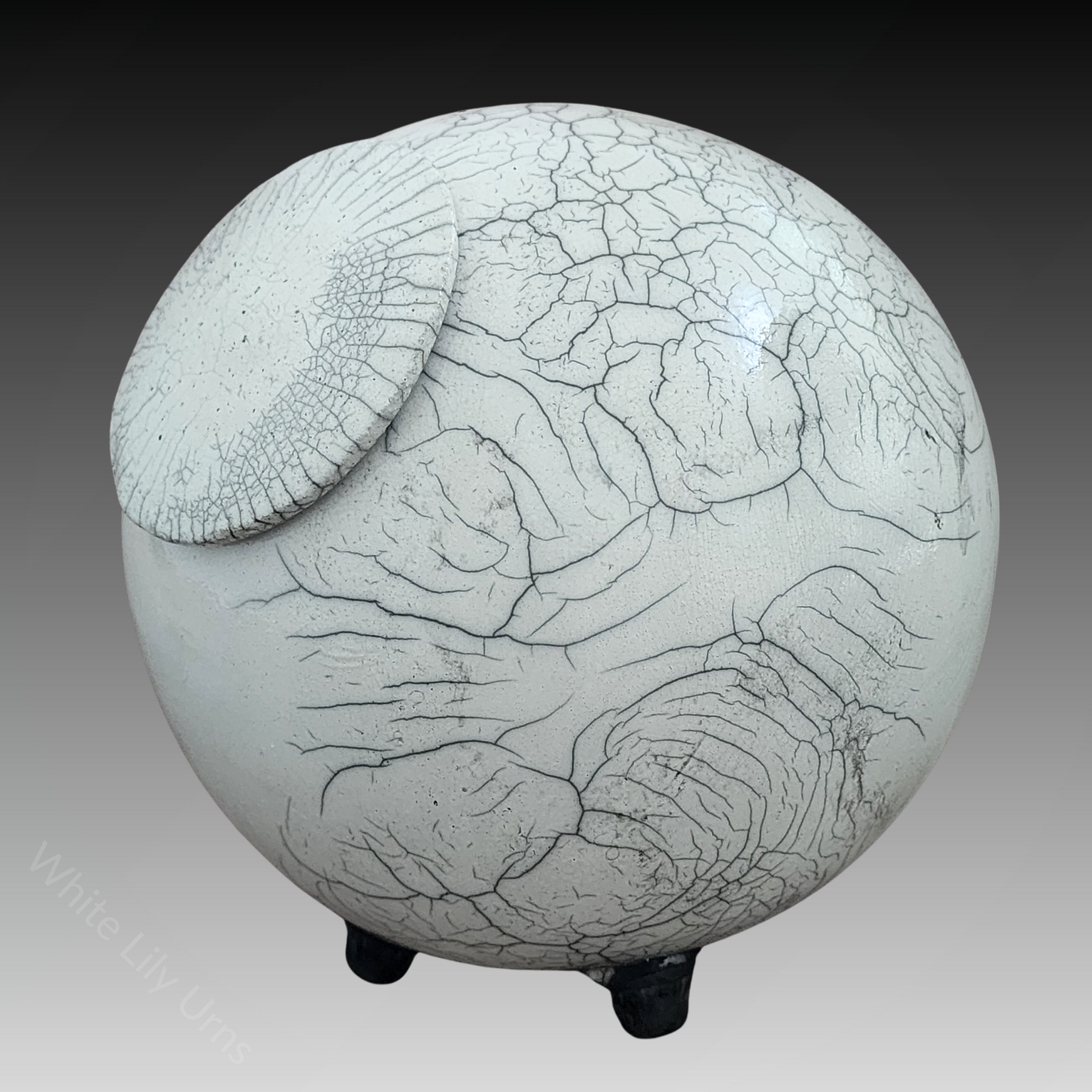 Dragon Moon Raku Fired Pottery Urn