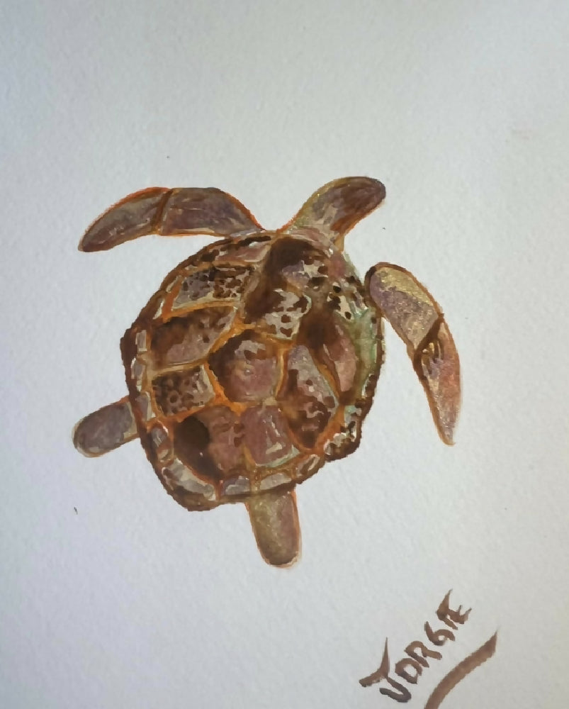 Watercolor , little Penny turtle , this tiny painting is fun and stylish ,