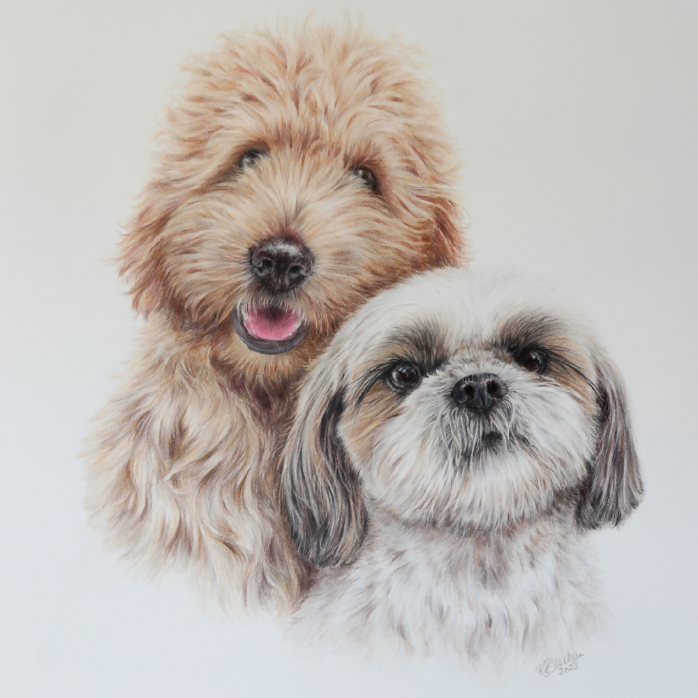 Australian-artist-custom-pet-portrait-dog-groodle-maltese