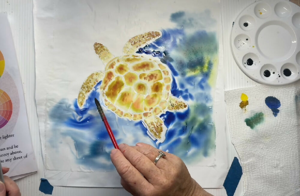 DIY Silk Painting Kit, Paint A Turtle