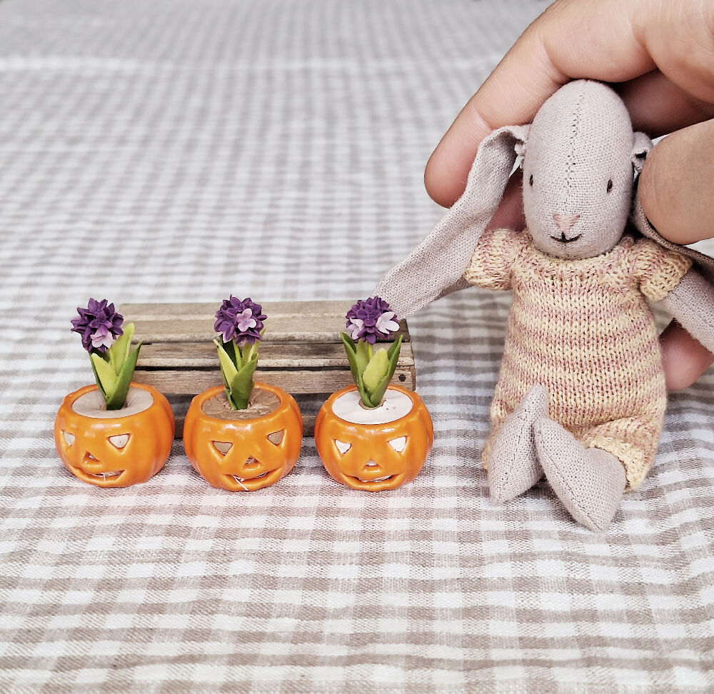 Planter with flowers/pot with Lid - JACK O'LANTERN