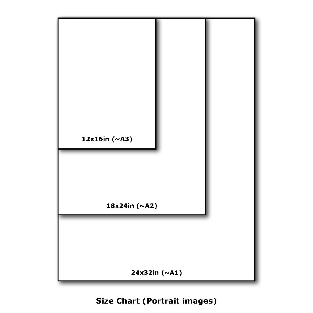 Size Chart (Portrait Images)