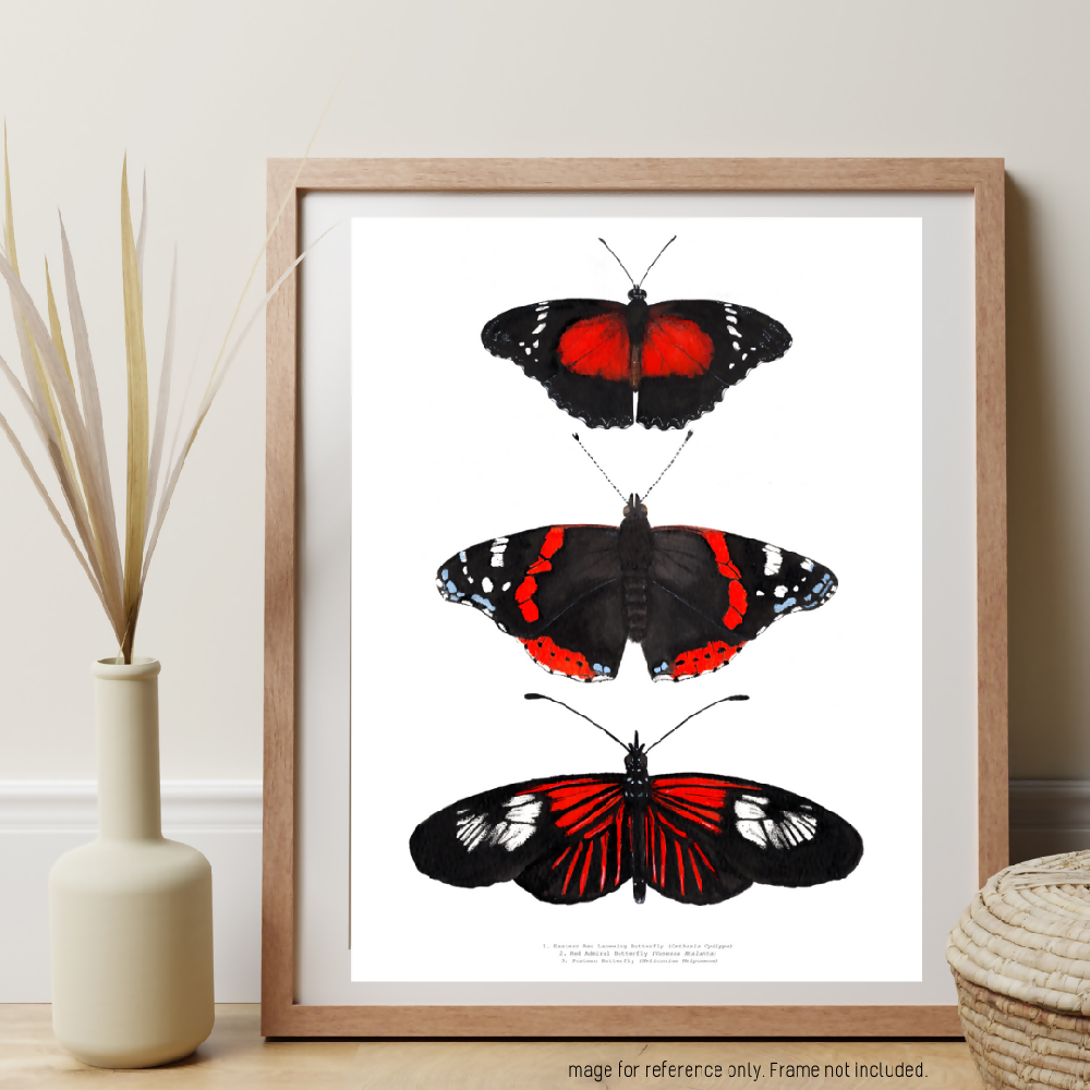 watercolour art print - insect series - red butterfly trio