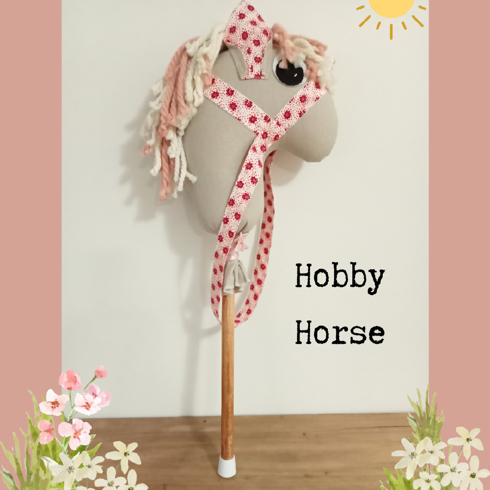 hobby horse (17)