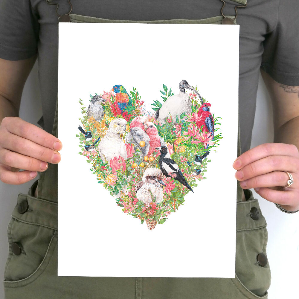 A4 art print of common native Australian birds and flowers, illustrated by Australian artist Kayla Reay.