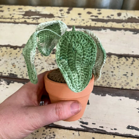 Handmade Crochet Adorable Variegated Pothos Plant for Unique Decor