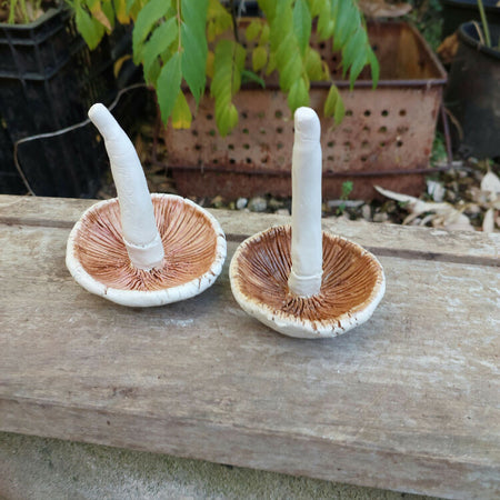 Ceramic Mushroom