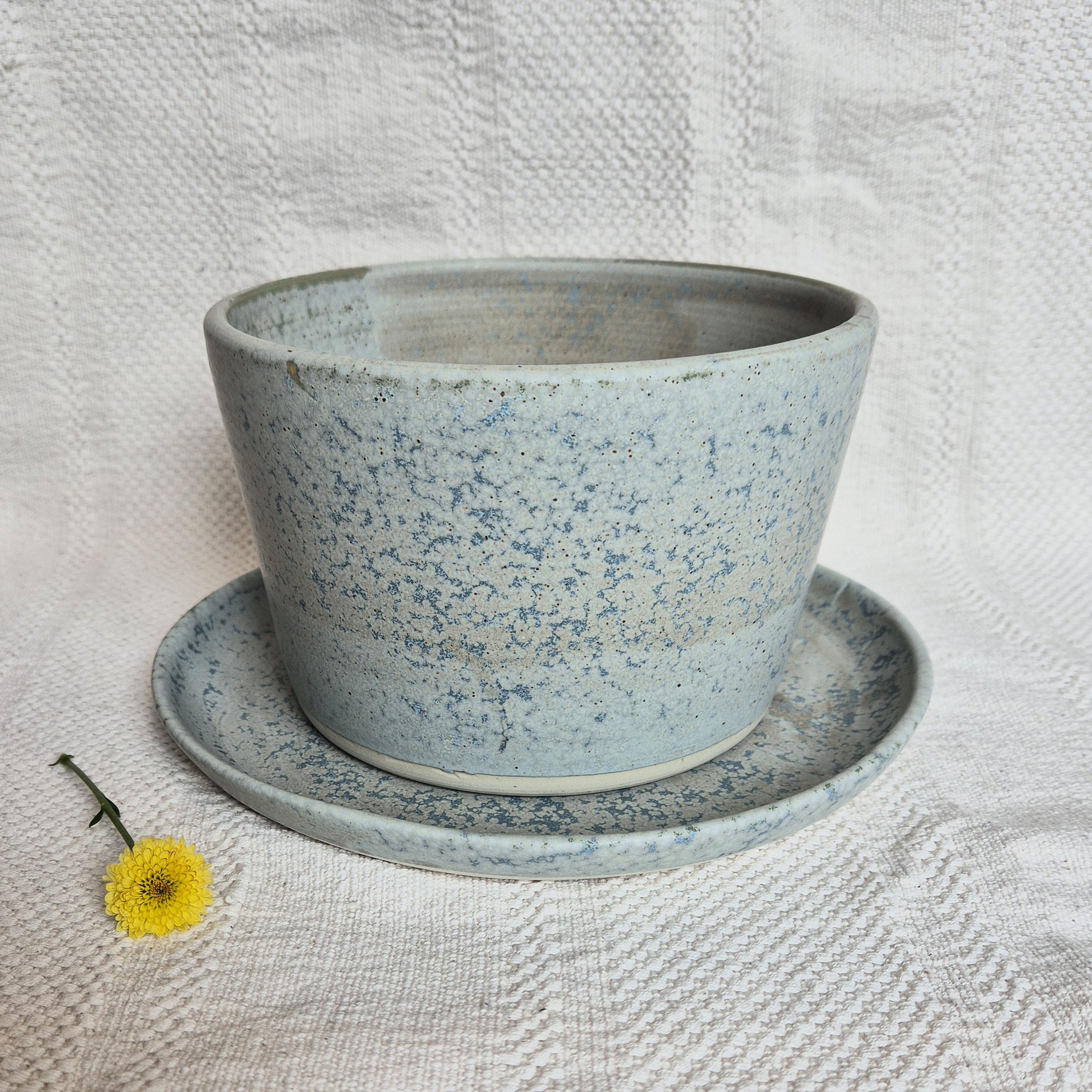 Electric Blue Pot Planter