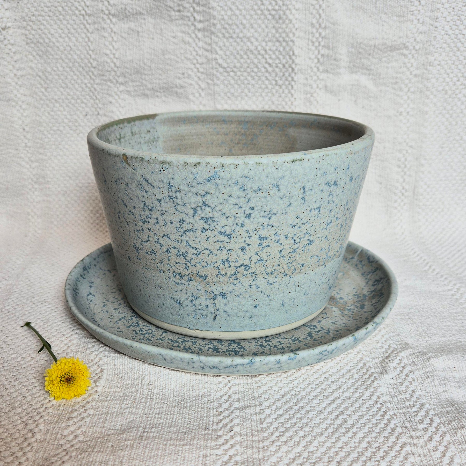 Electric Blue Pot Planter