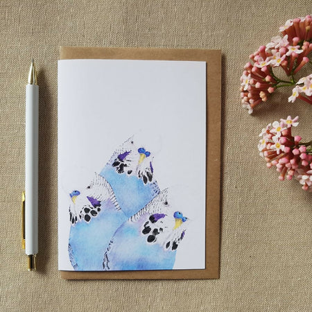 Budgie greeting card featuring 3 blue budgies. Blank inside.