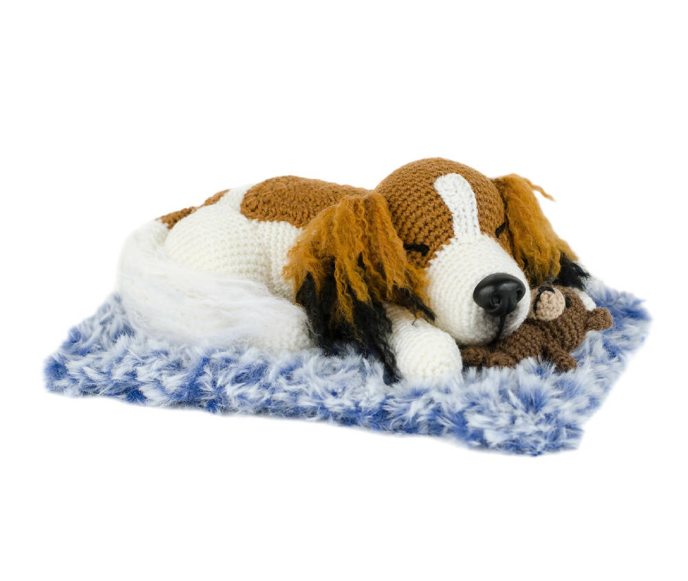 PhotoRoom_20230810_065717