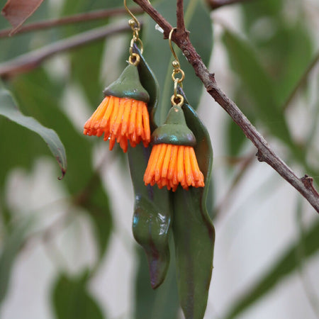 Orange Gumnuts