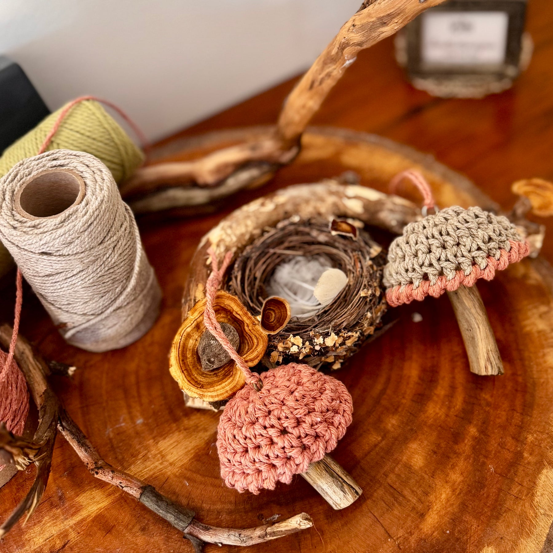 Magic Mushroom Decoration