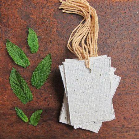 12 Peppermint Paper gift tags / Handmade Recycled paper swing tags