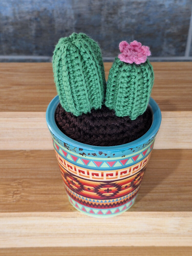 cactus with pink flower