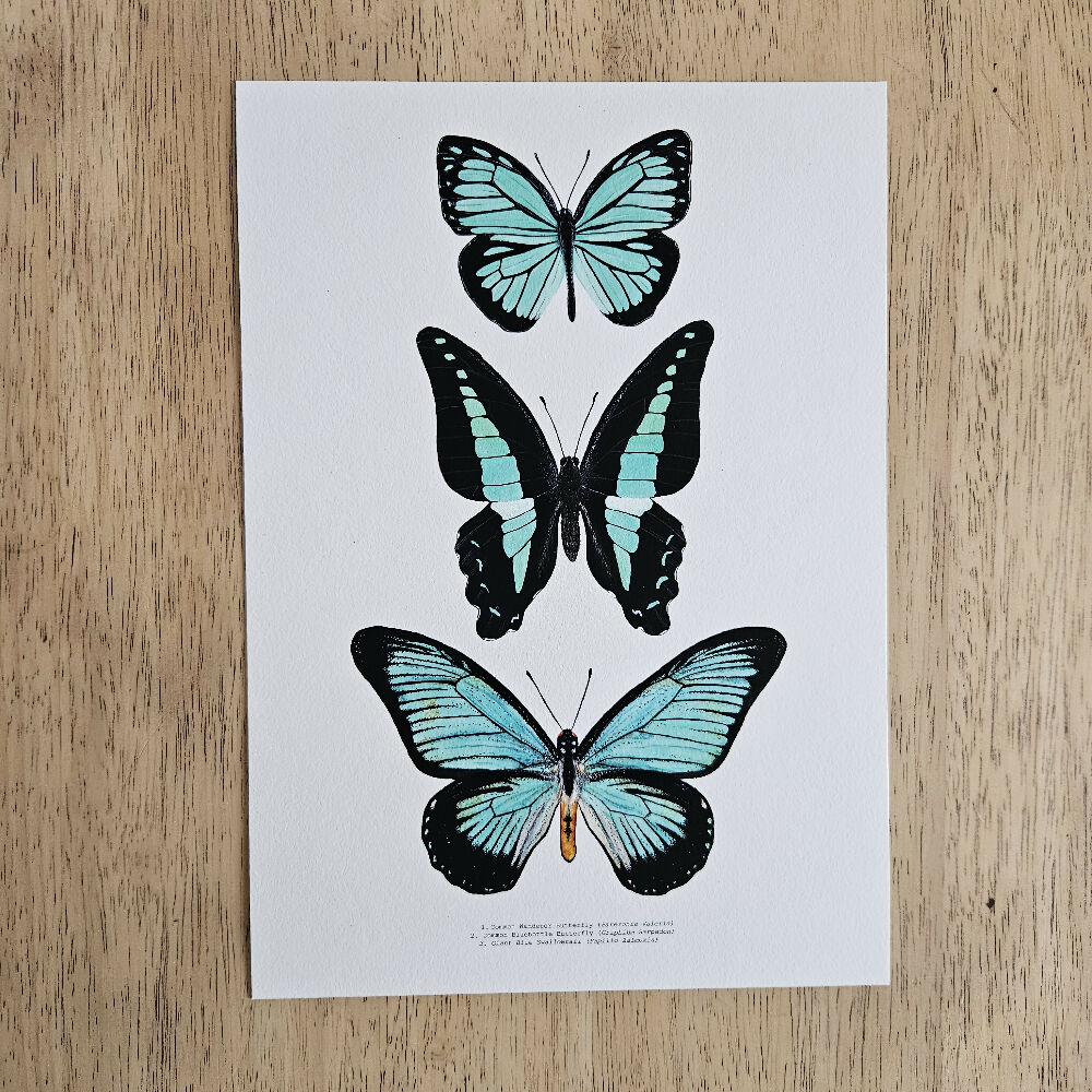 Watercolour Art Print - The Insect Series - 'Turquoise Butterfly Trio'