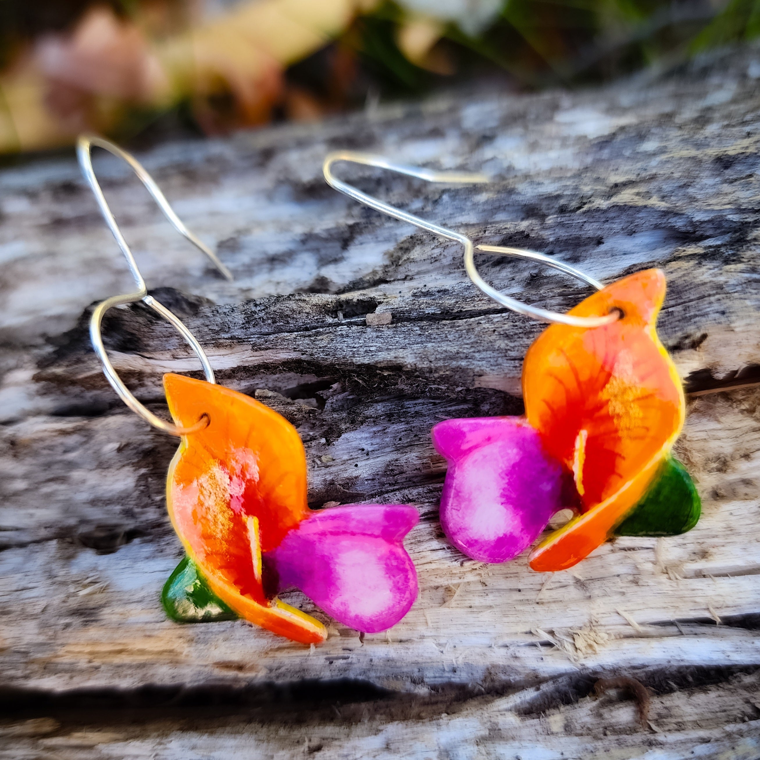 Flame pea flower earrings, native Australian flora, handpainted