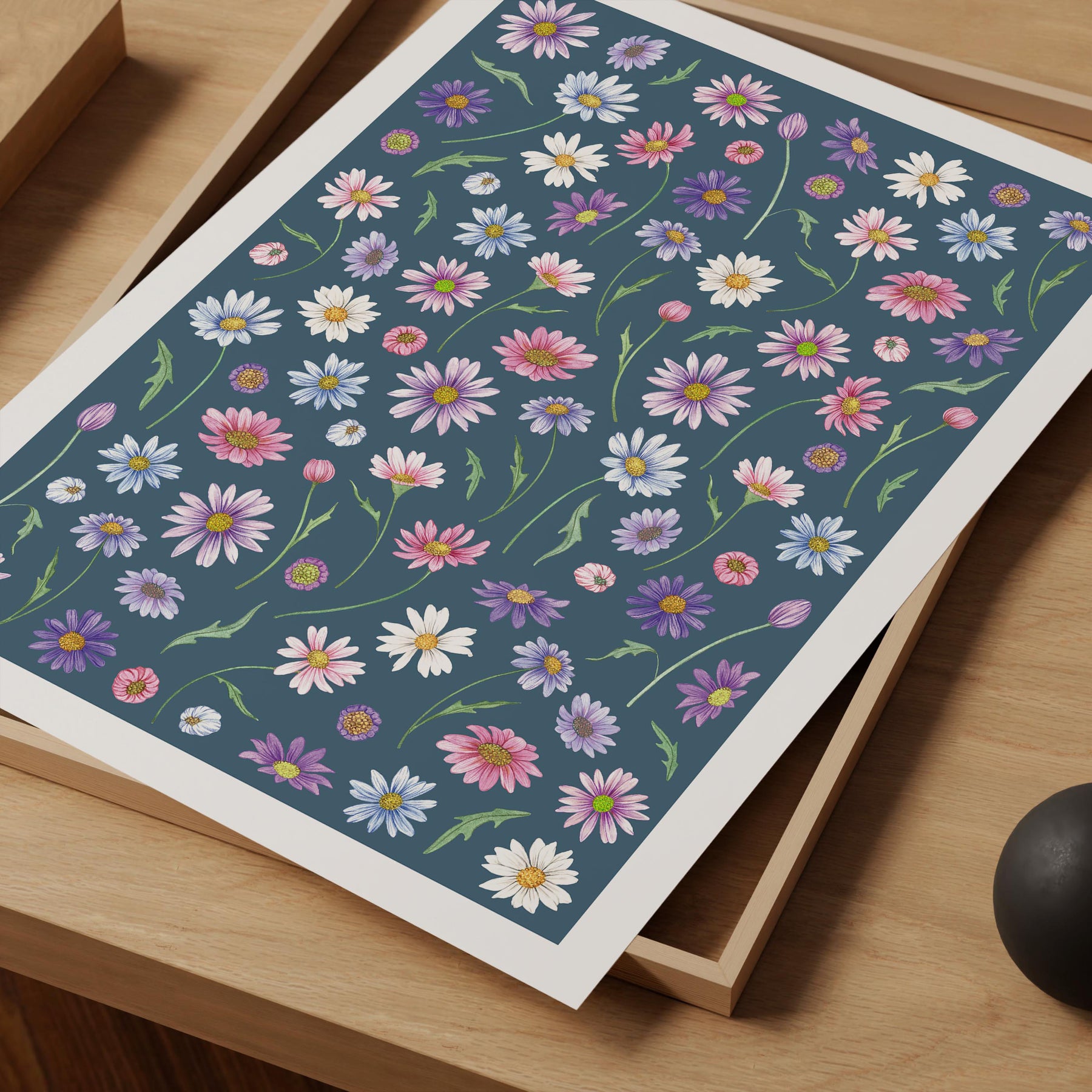 Australian Daisy Art Print