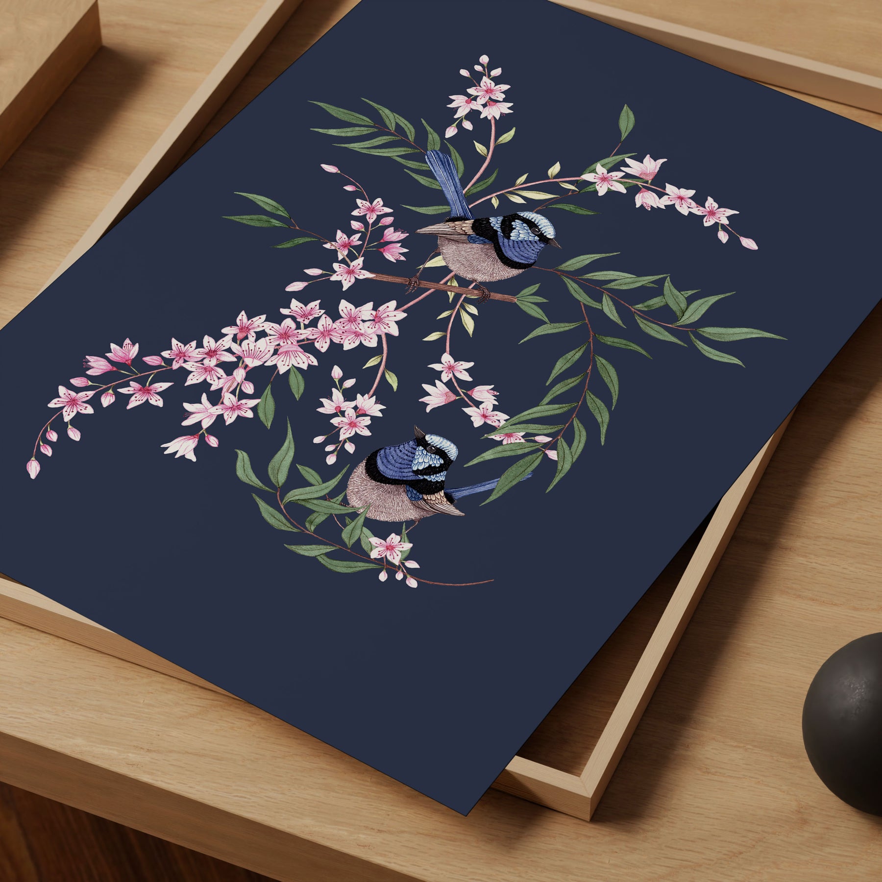 Superb Fairywren Art Print