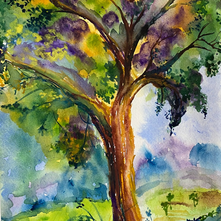 Original Watercolour ‘Ironbark at Sunset’