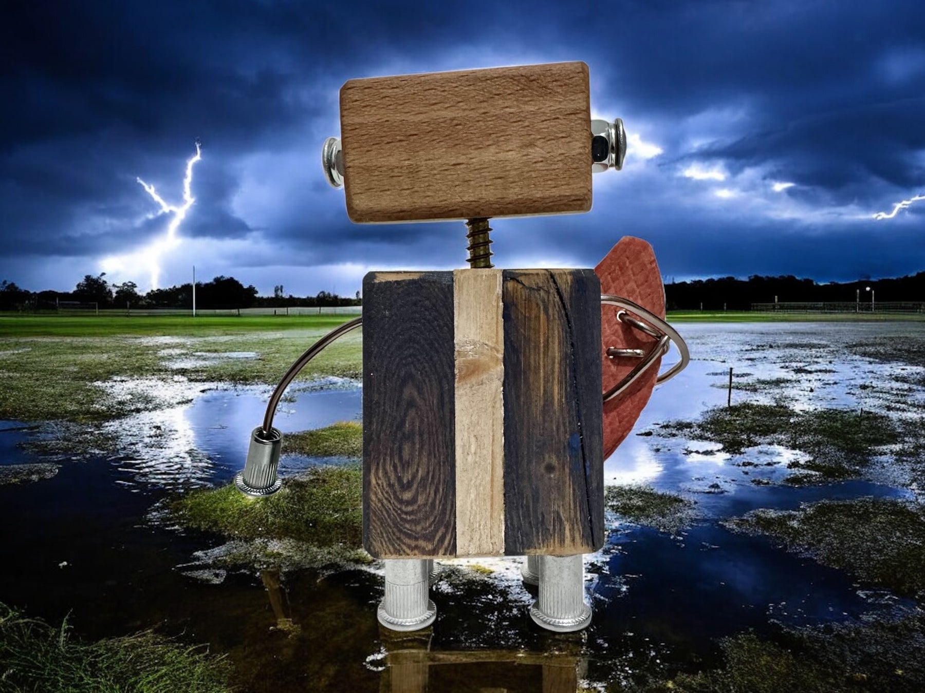 Frederick - Wooden Footy Robot