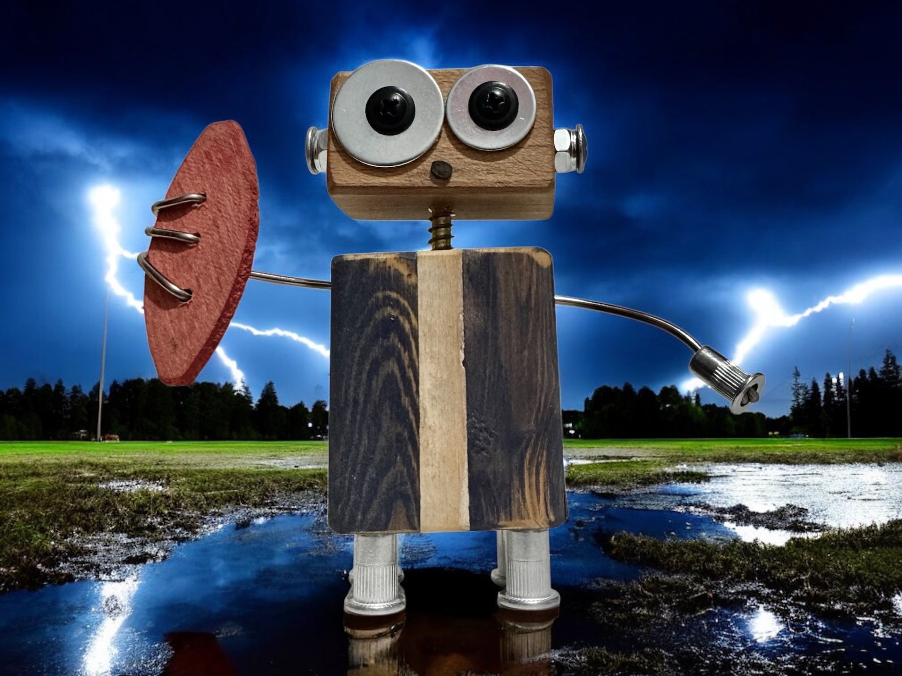 Frederick - Wooden Footy Robot