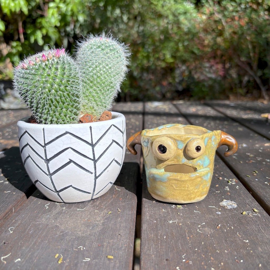Ceramic monster pot