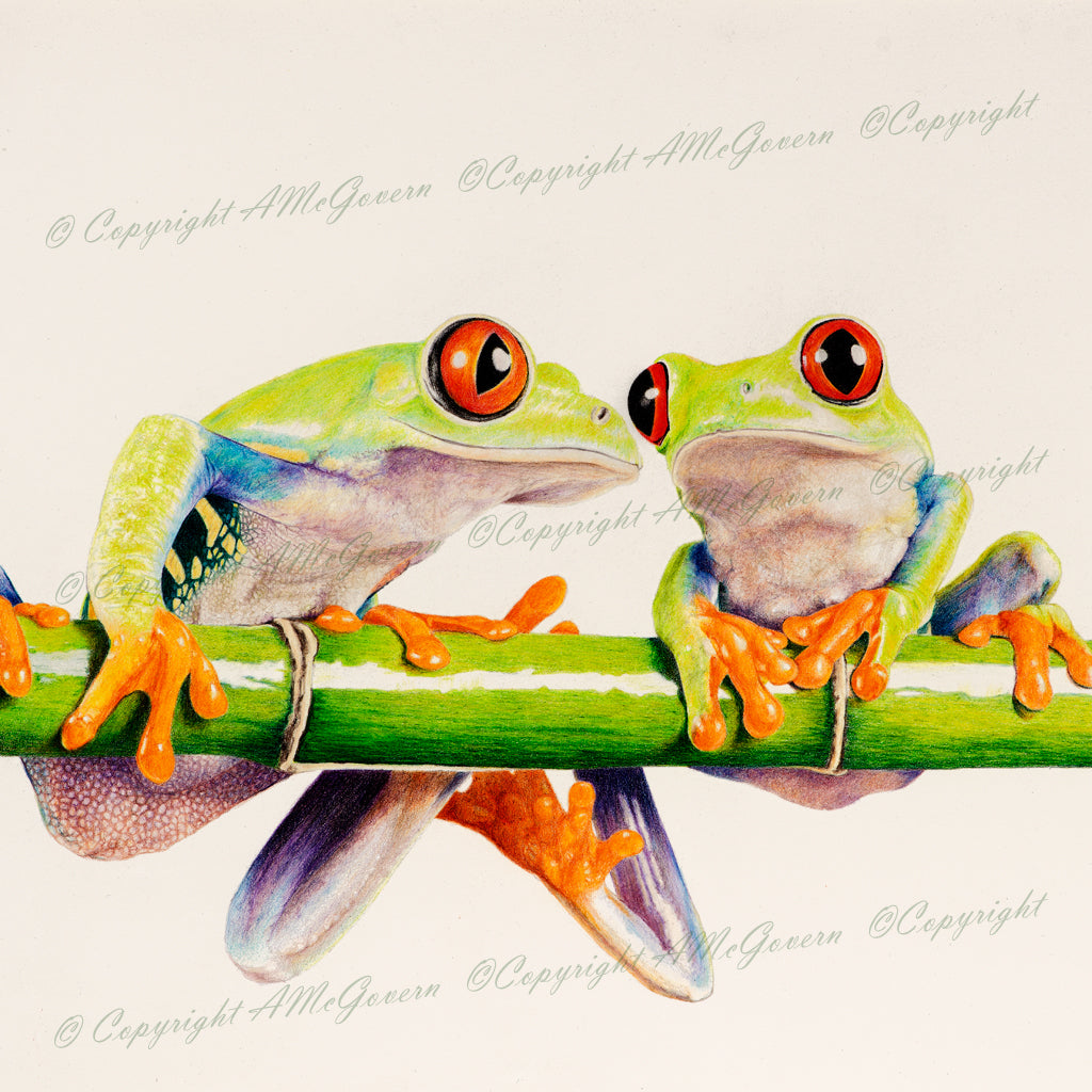 Red-Eyed Tree Frogs | Fine Art Print Reproduction | Wall Art