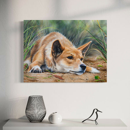 Dingo - Titled 