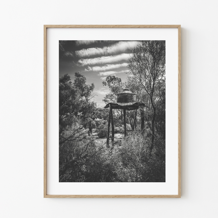 Rusty Bushland Structures #2