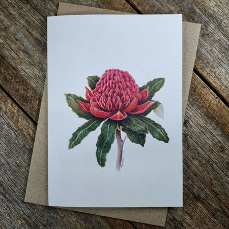 Blank Greeting Card - Waratah