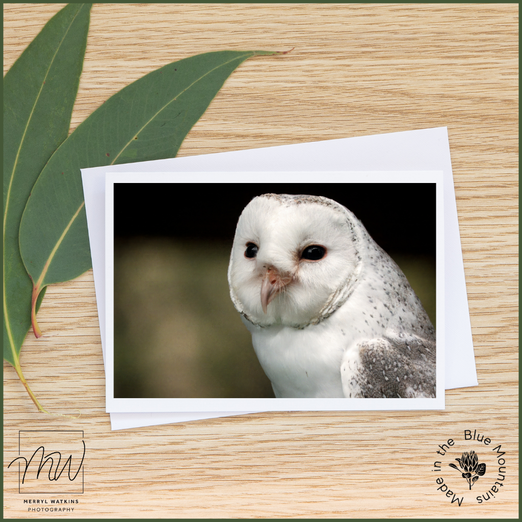Blank Greeting Card - Barn Owl Photo