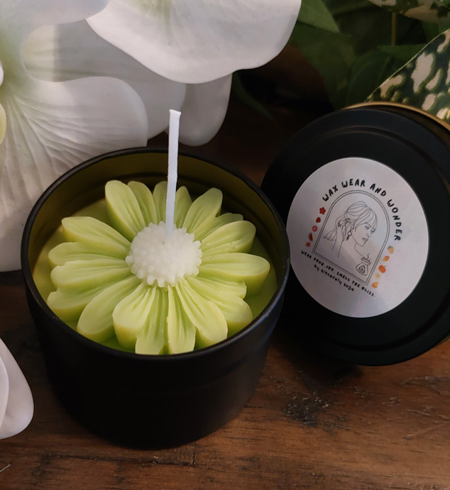 Scented Soy Candles - Daisy Glow Collection