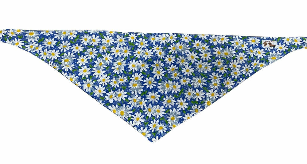 blue denim daisy 3