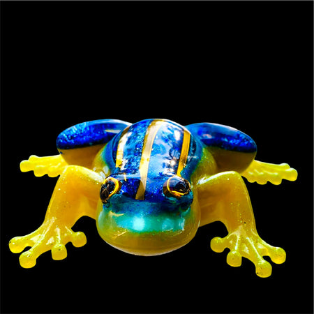 Gold striped blue and yellow frog