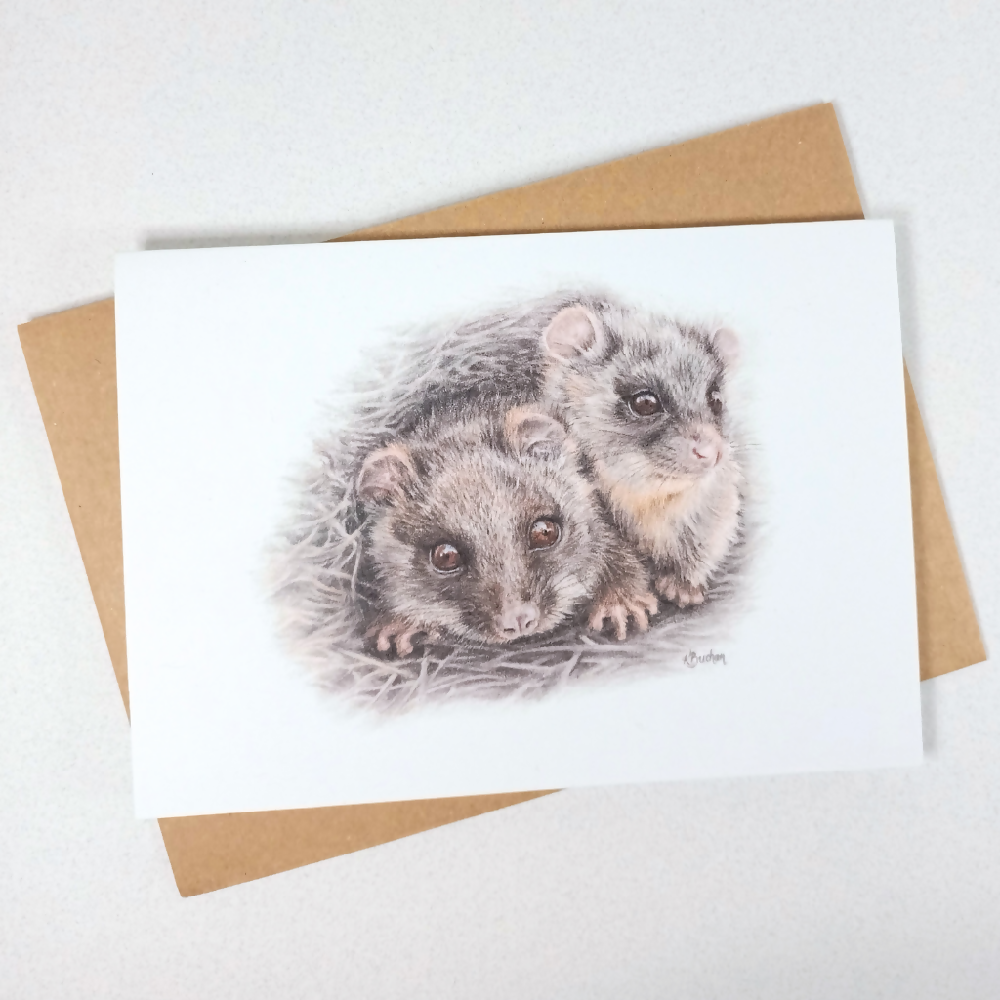 Australian-artist-greeting-card-ringtail-possum-joeys