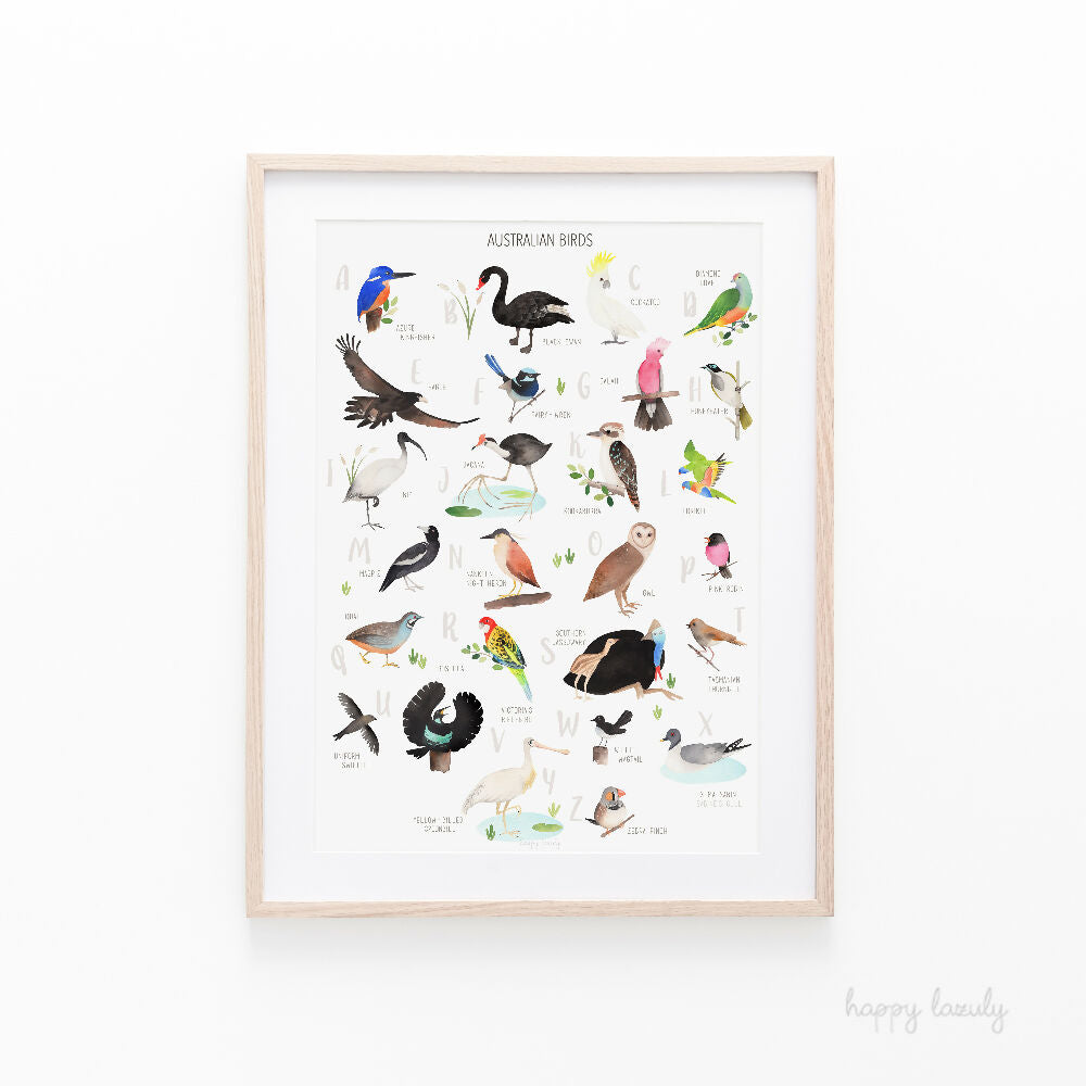 Educational-posters-australia-native-birds-alphabet-@happylazuly4