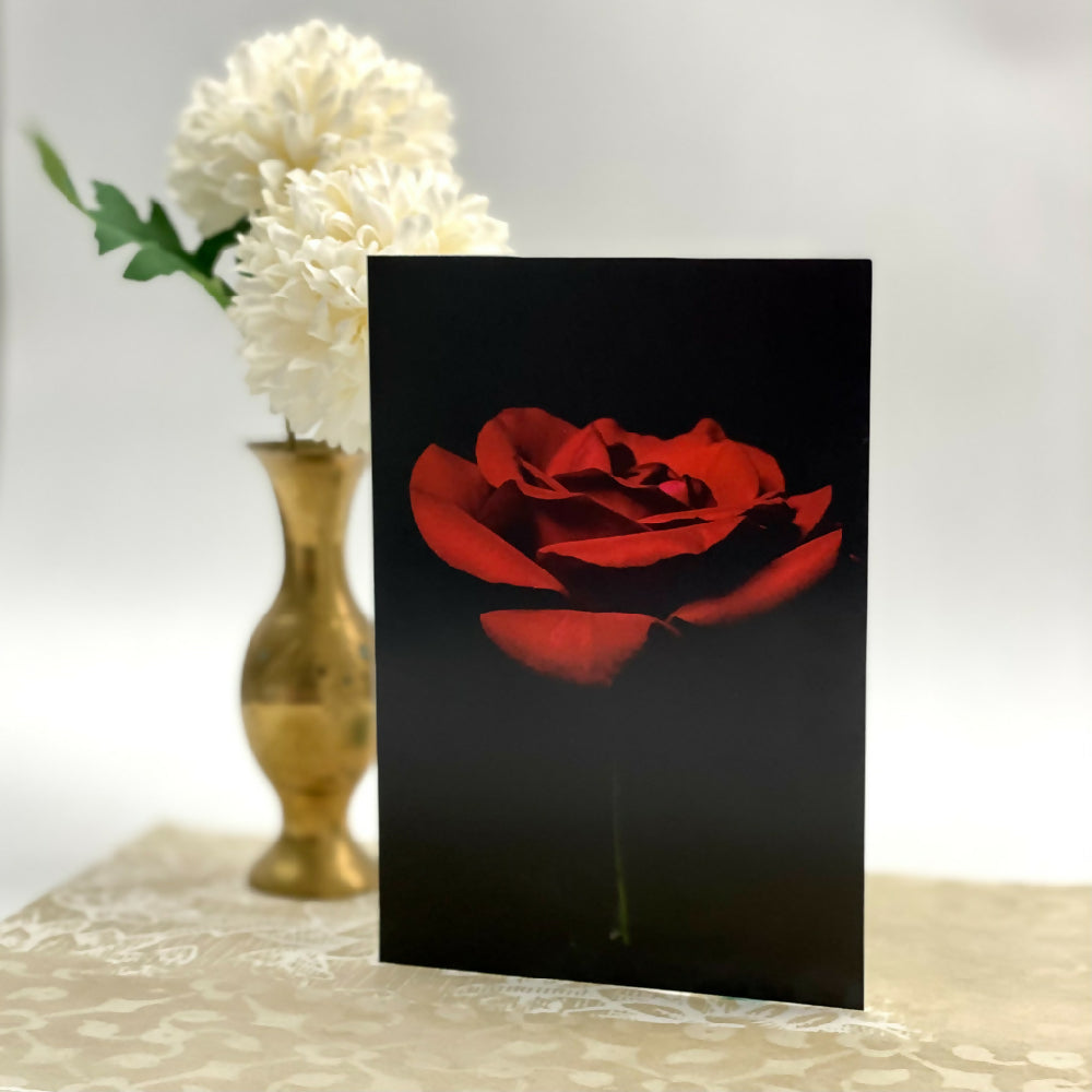 fine art photography red rose gift card