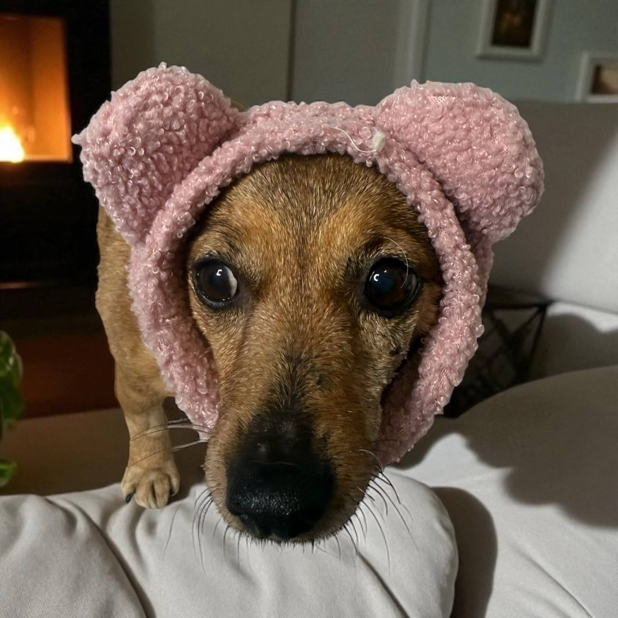 Dog Snood/neck warmer for dog/puppy, Handmade Pet clothing/costume, Anti anxiety and warmth