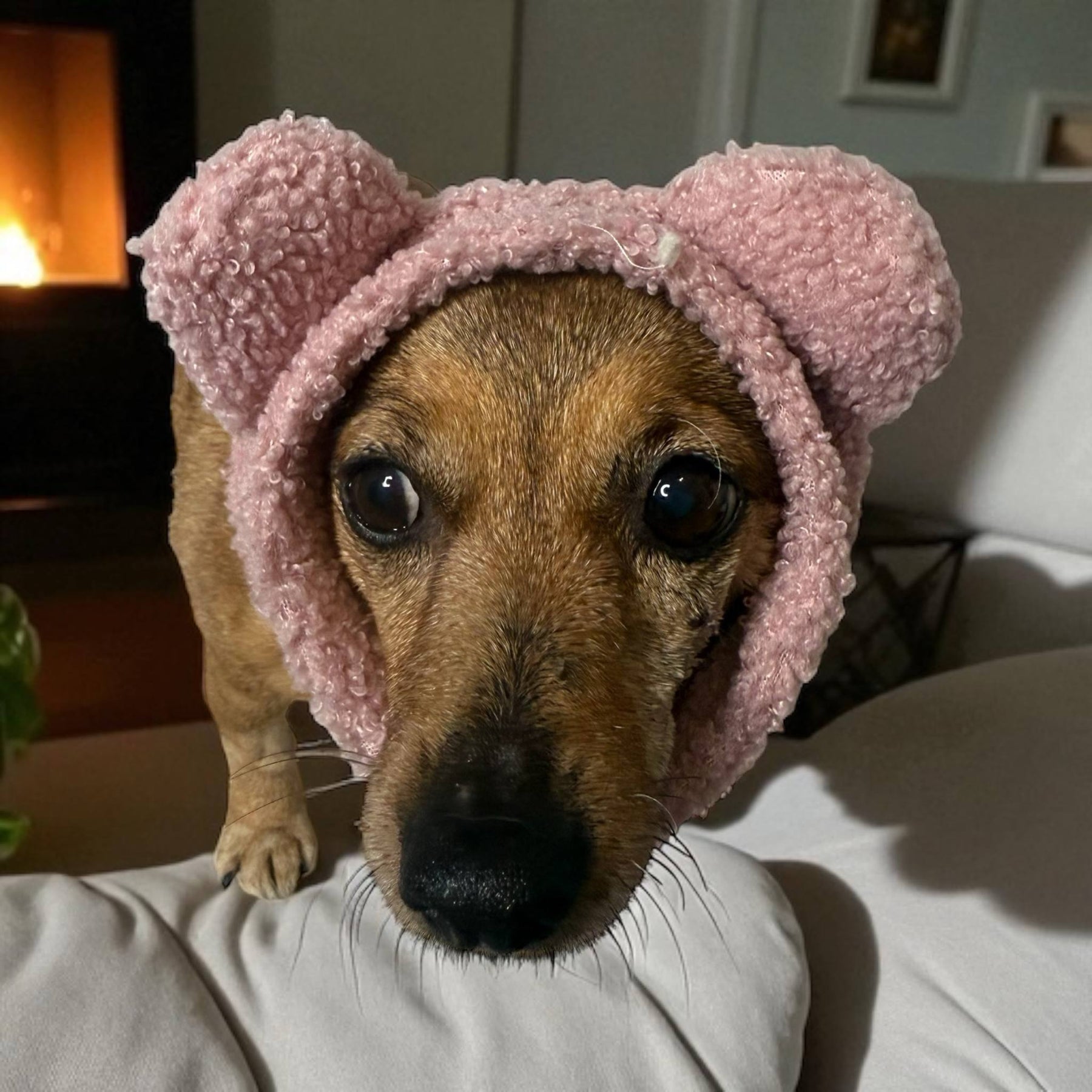 Dog Snood/neck warmer for dog/puppy, Handmade Pet clothing/costume, Anti anxiety and warmth