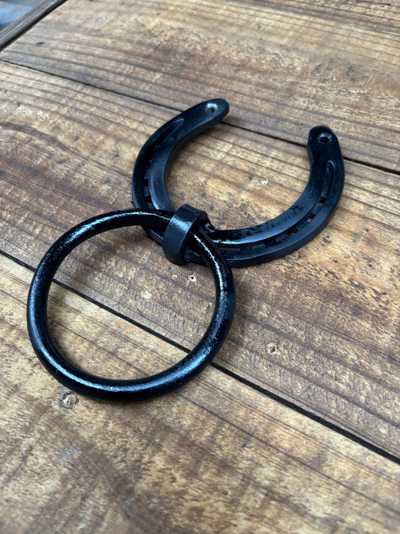Horsehoe Hitching Ring Free Shipping