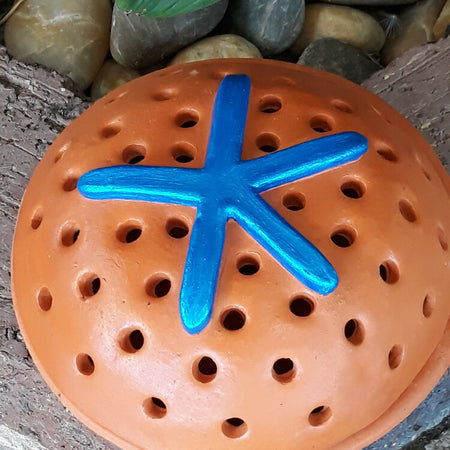 Mosquito Coil Holder/ Mozzie coil holder, Blue Starfish