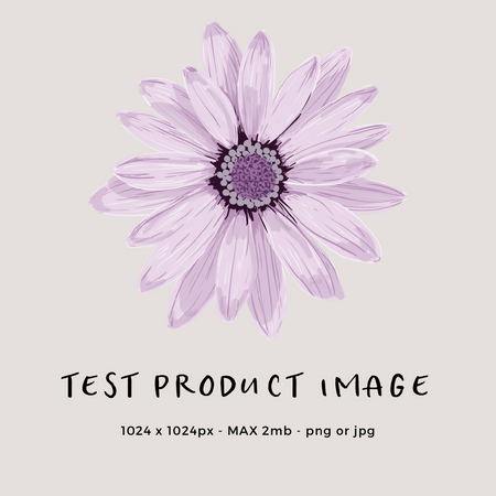 Product with custom shipping & custom options