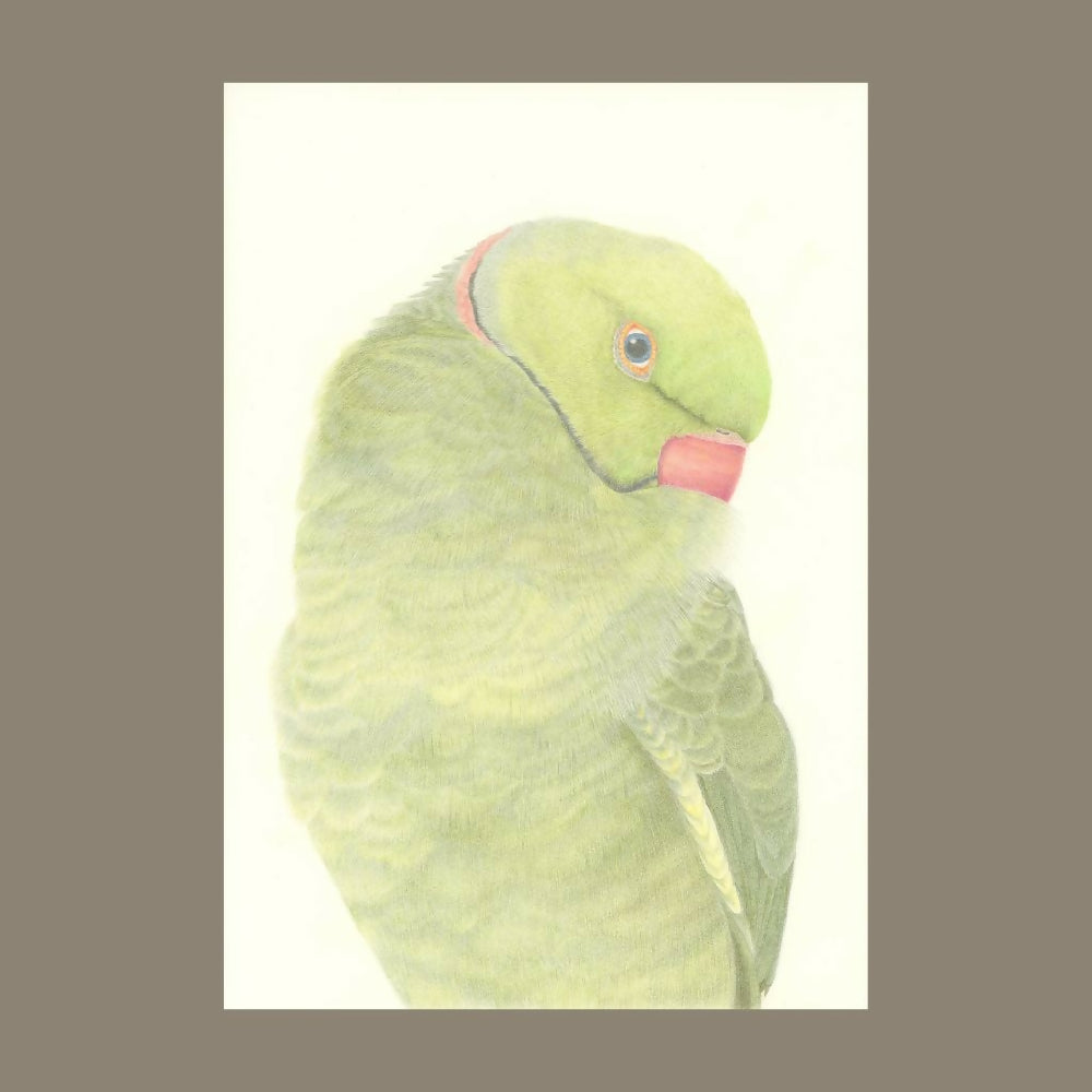 petportraitringneck1